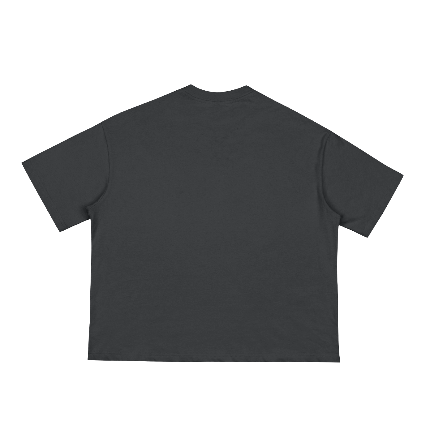 “The World Is Yours” Loose Boxy Tee