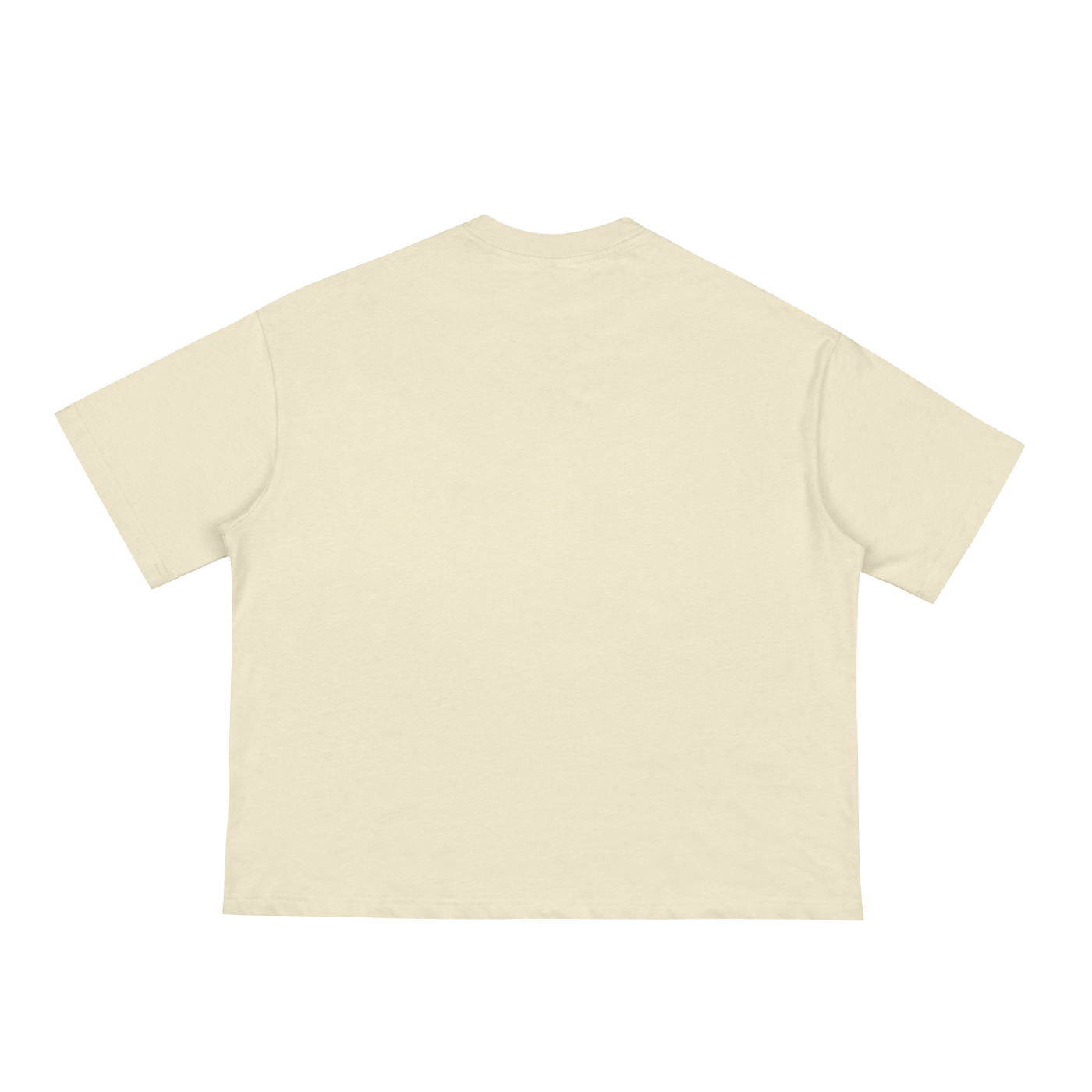 “The World Is Yours” Loose Boxy Tee